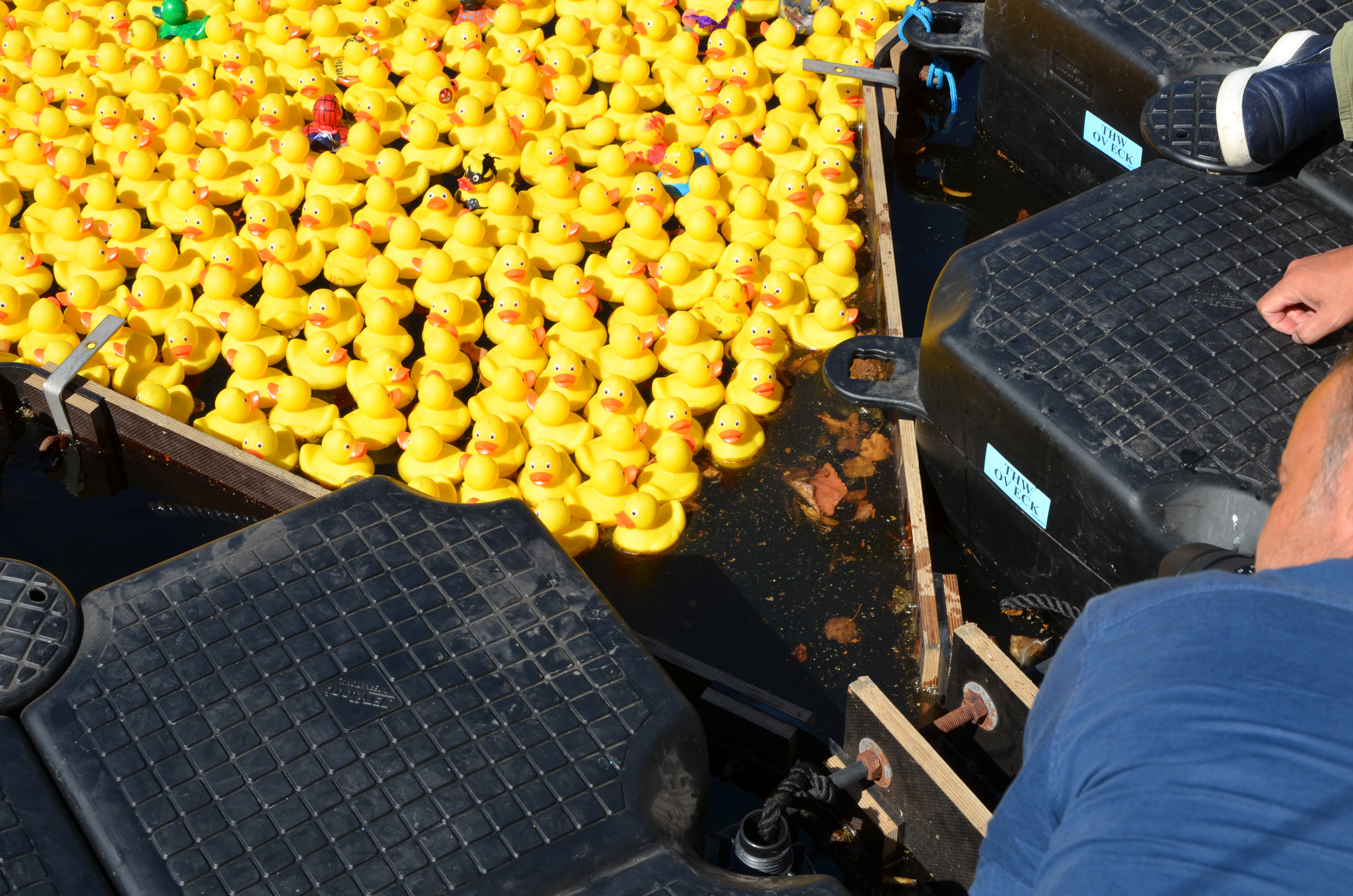 Die Enten laufen ins trichterförmige Ziel ein, sodass nur eine Ente auf einmal durchs Ziel kommt